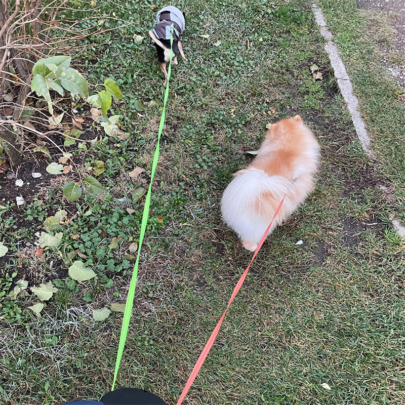 Retractable Dog Leash For Small Dogs Reflective Dual Pet Leash Lead 360 Swivel No Double Dog Walking Leash With Lights Pet