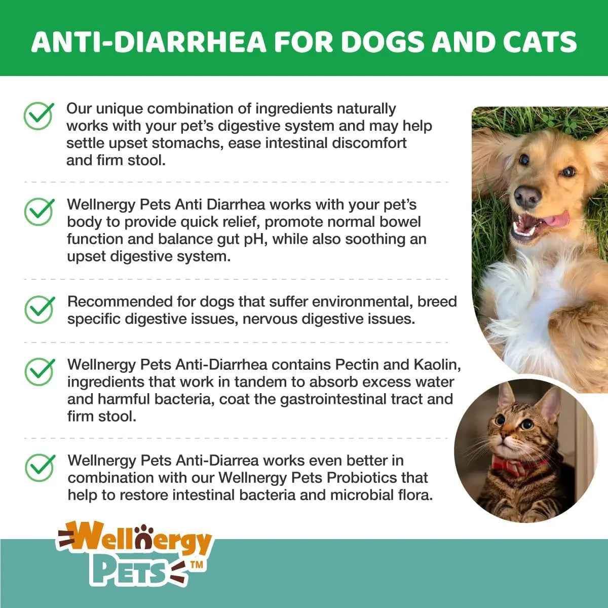 Anti Diarrhea Liquid for Dogs with Kaolin, 4 Oz