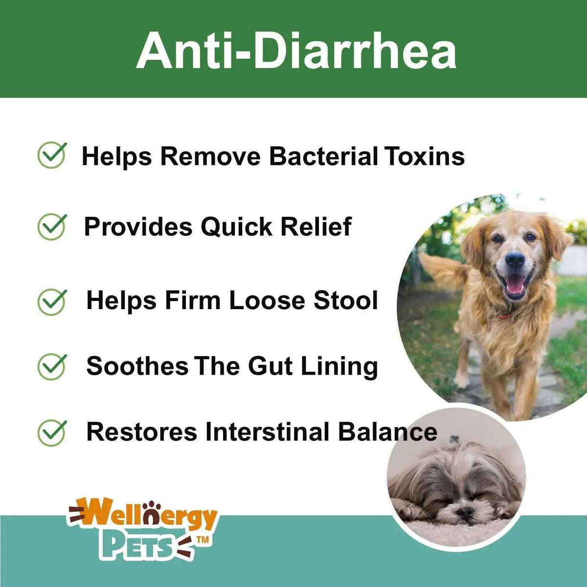 Anti Diarrhea Liquid for Dogs with Kaolin, 4 Oz