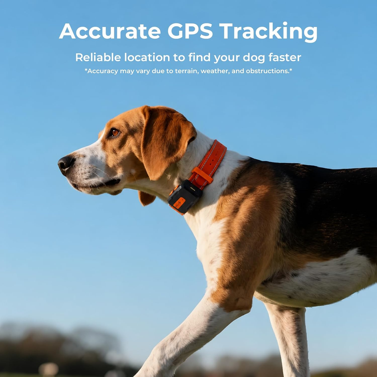 No-Subscription Dog GPS Tracker, 3-Mile Range, IP67