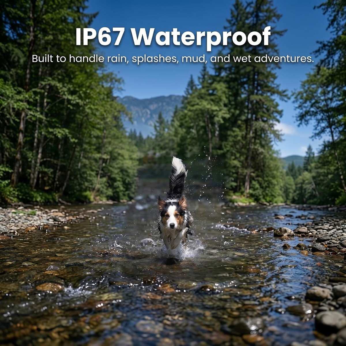 No-Subscription Dog GPS Tracker, 3-Mile Range, IP67