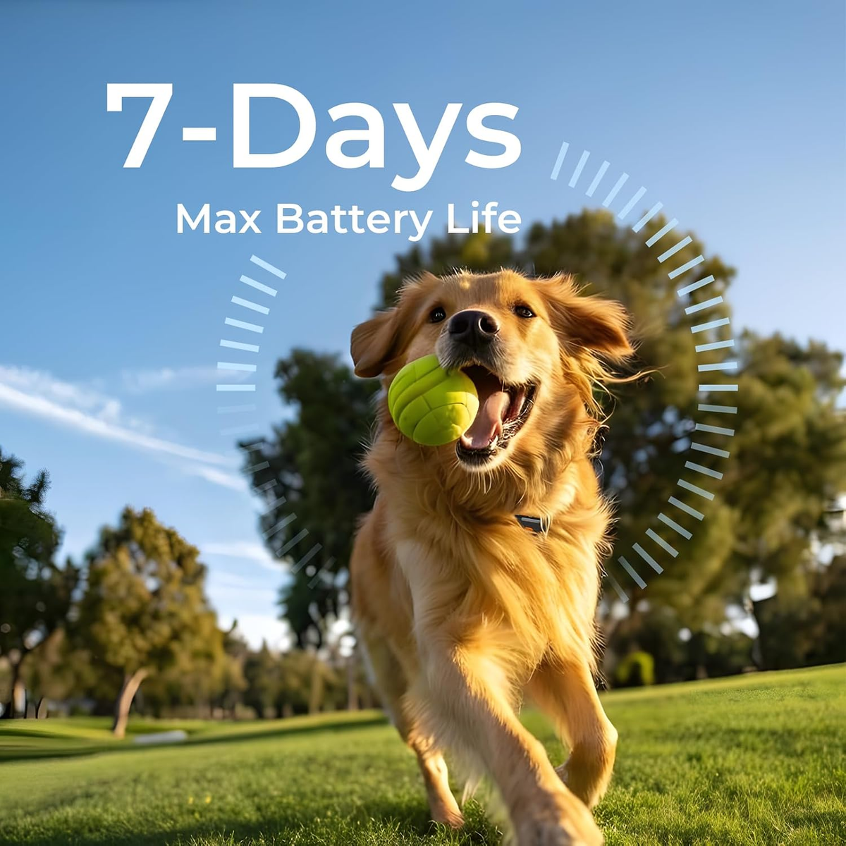 No-Subscription Dog GPS Tracker, 3-Mile Range, IP67
