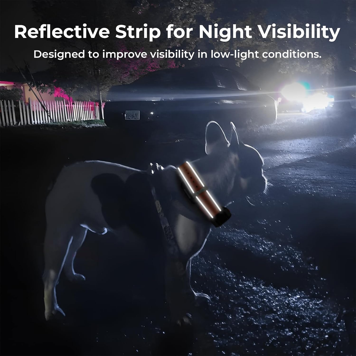 No-Subscription Dog GPS Tracker, 3-Mile Range, IP67