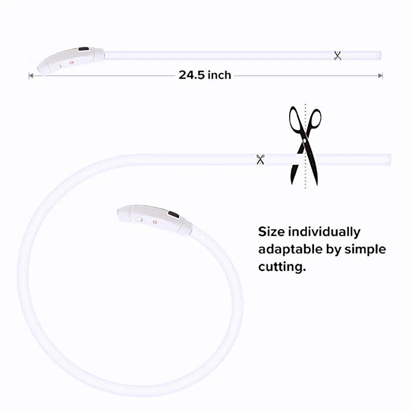 USB Rechargeable LED Glowing Dog Collar – Adjustable Night Safety