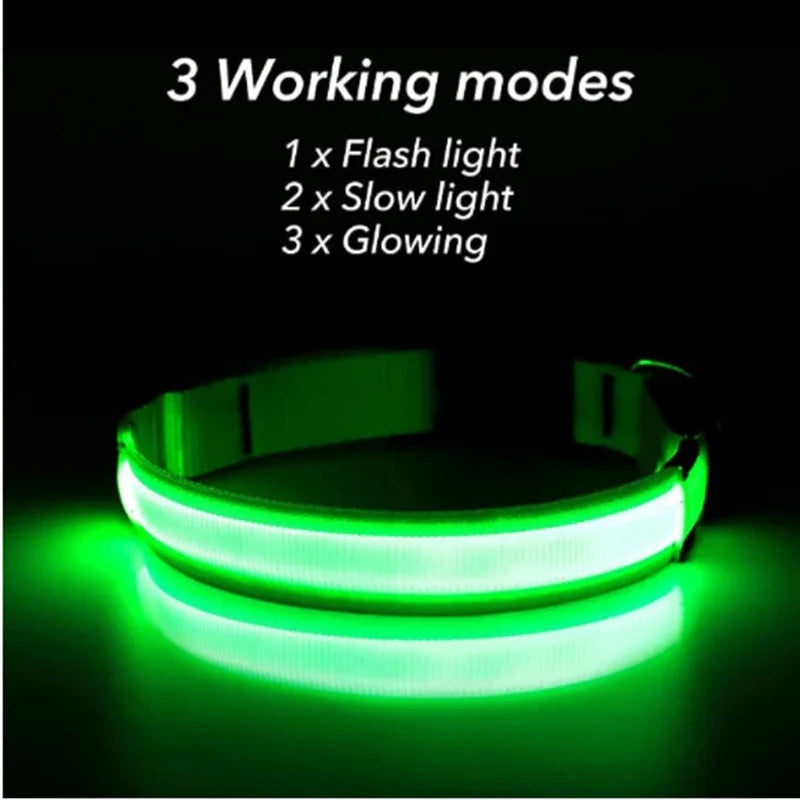 USB Rechargeable LED Glowing Dog Collar – Adjustable Night Safety