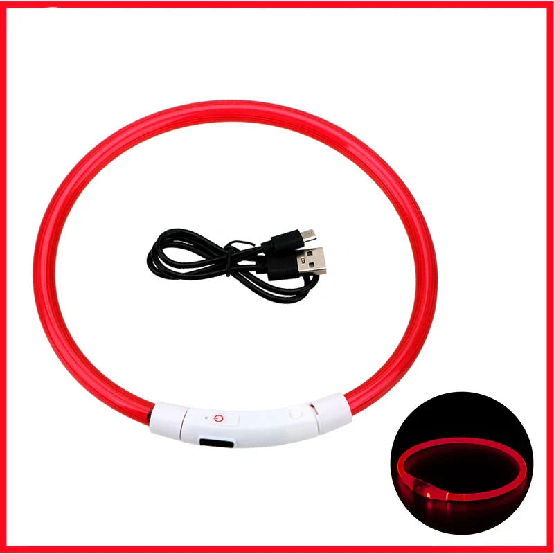 USB Rechargeable LED Glowing Dog Collar – Adjustable Night Safety