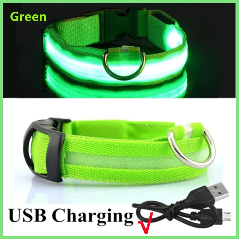 USB Rechargeable LED Glowing Dog Collar – Adjustable Night Safety