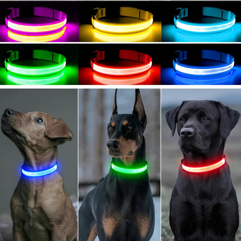 USB Rechargeable LED Glowing Dog Collar – Adjustable Night Safety