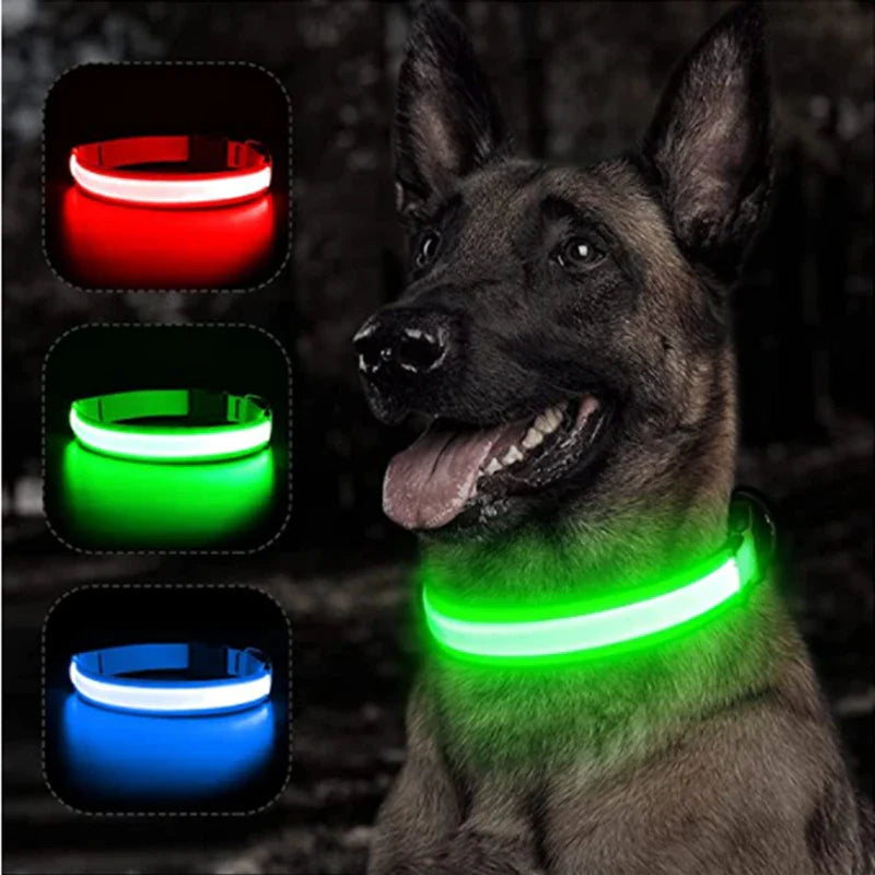 USB Rechargeable LED Glowing Dog Collar – Adjustable Night Safety
