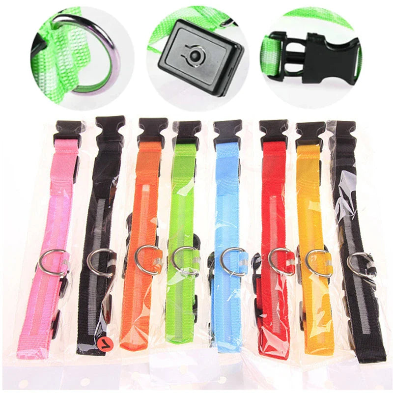 USB Rechargeable LED Glowing Dog Collar – Adjustable Night Safety