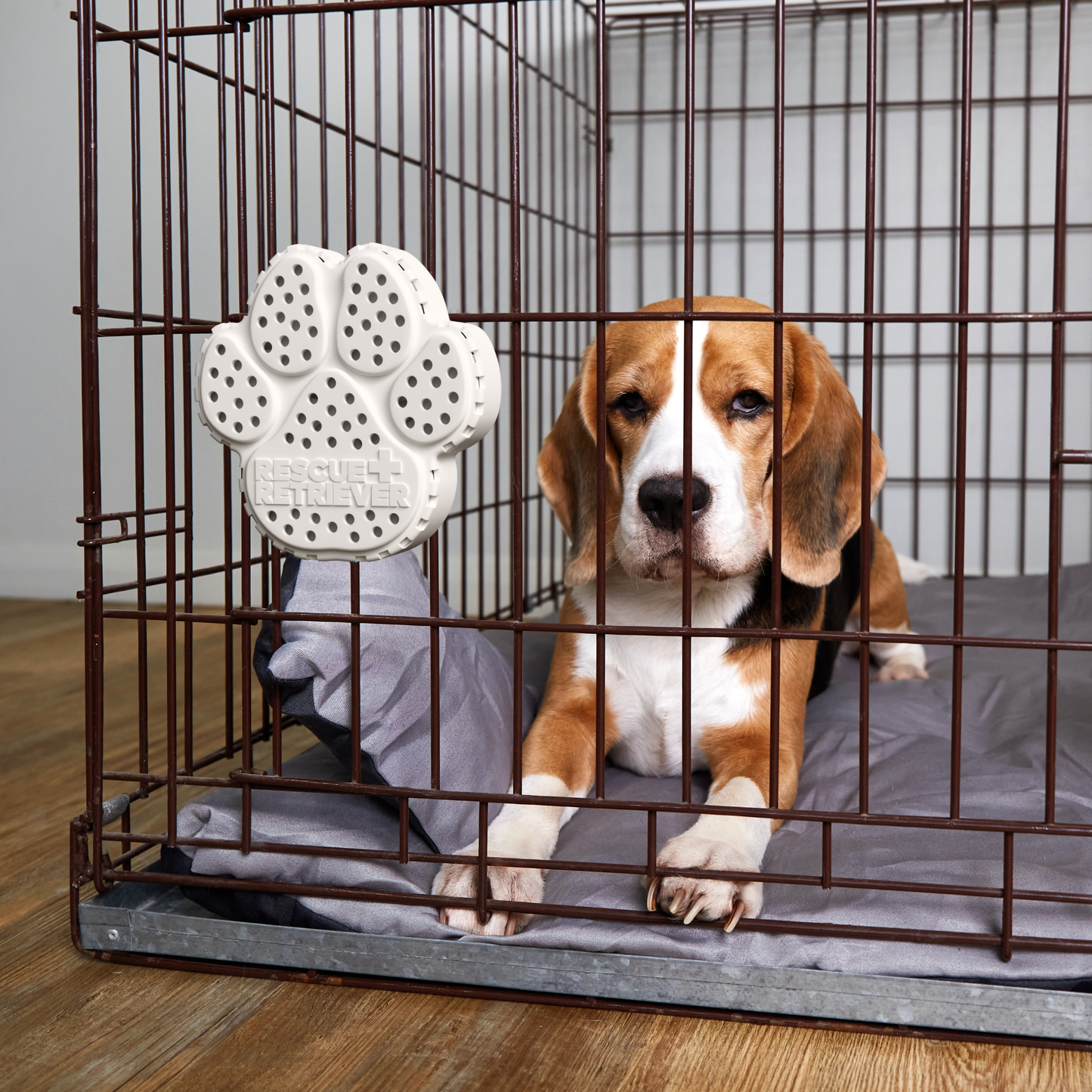 Rescue Retriever Multi-pack (2 Pack)